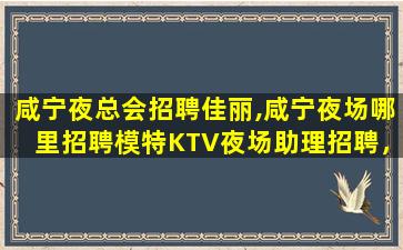 滨州夜总会招聘